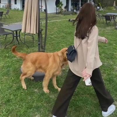 轮廓中的真相
